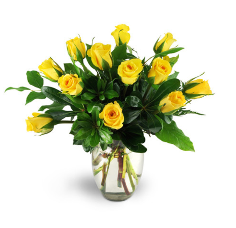 Yellow Rose Delight