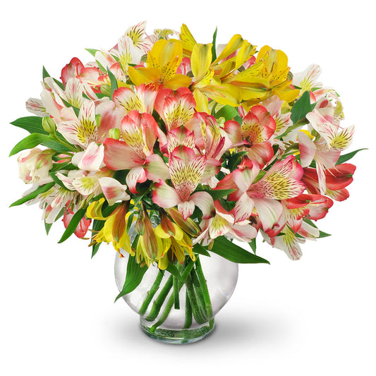 Perfect Peruvian Lilies Bouquet